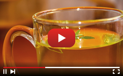 green tea for weight loss